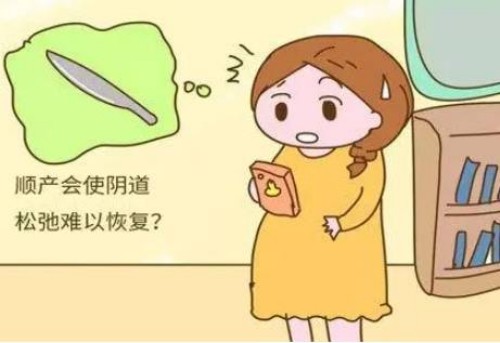 二胎的性别和两胎之间的时间有关系？有没有科学依据看完就知道